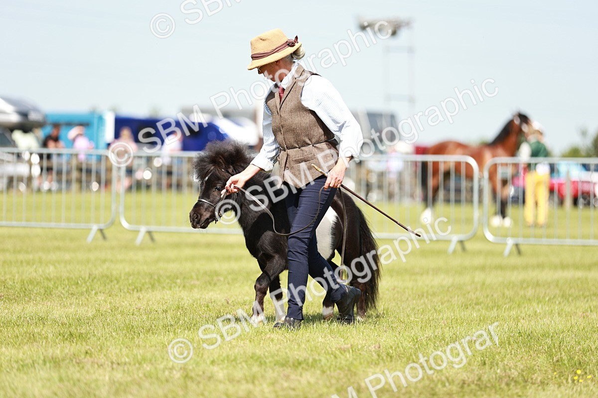 SBM_01919 - Class 14-23 - Mountain & Moorland In Hand Non Welsh