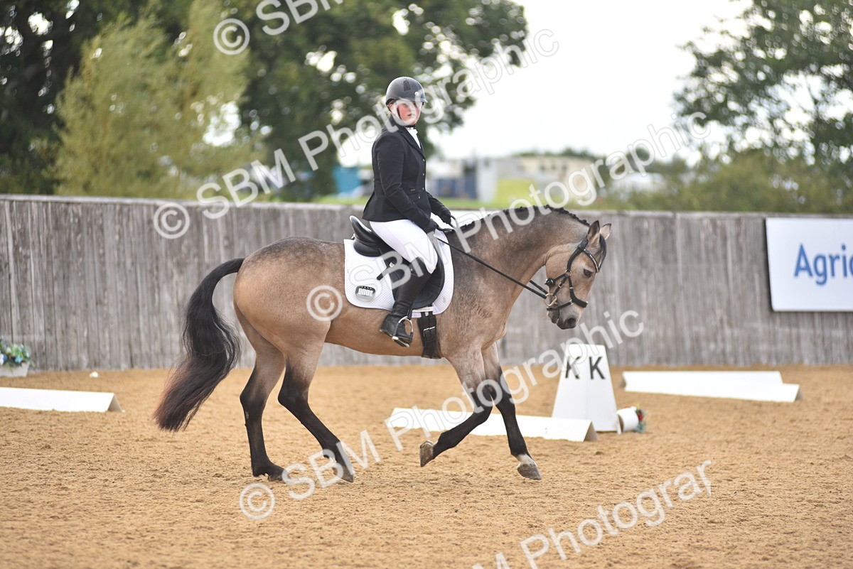SBM_11342 - D15 - Small Tour Championship Novice 1