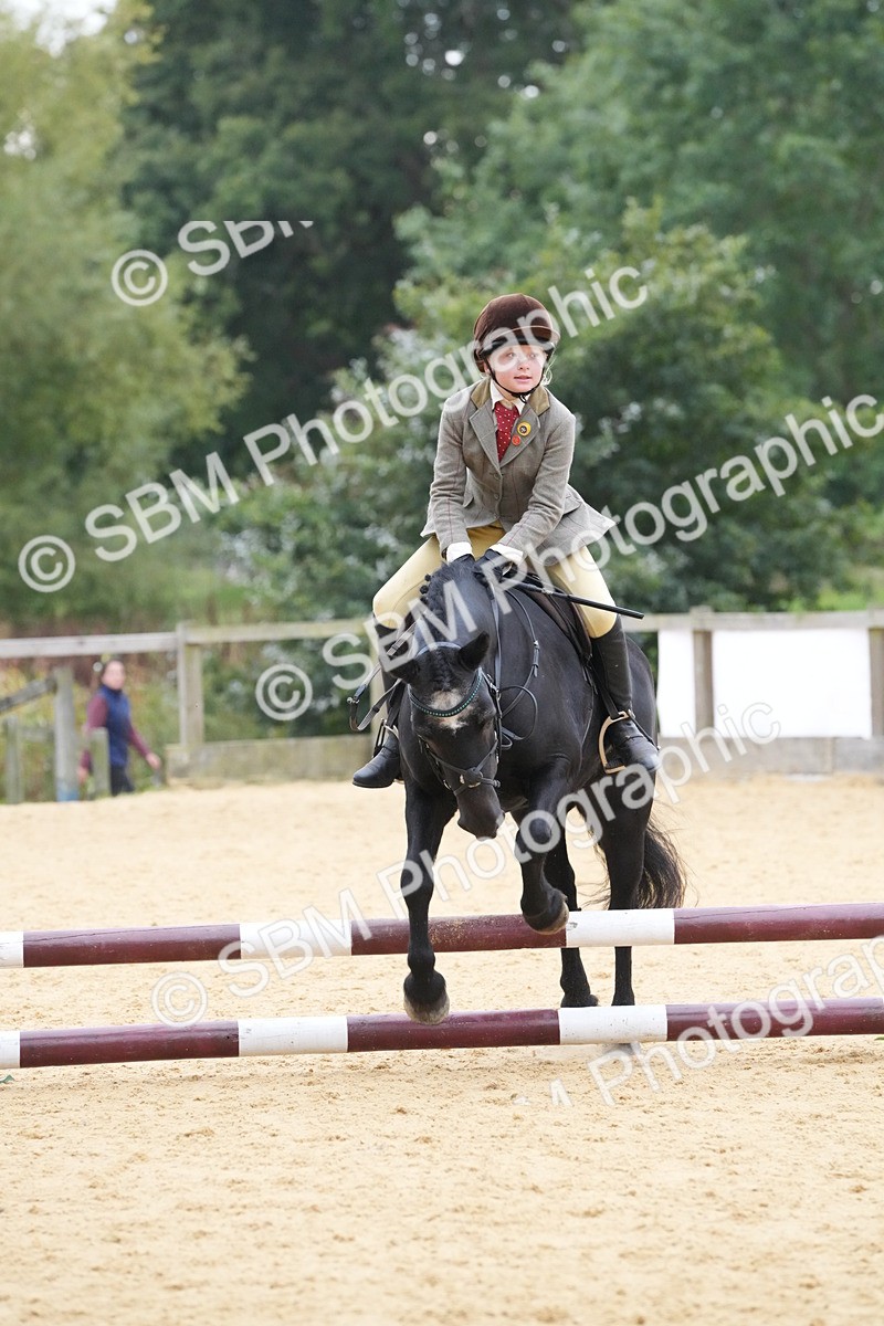 SBM_74546 - J4 - Mini Tour Junior Pony 45cm Championship