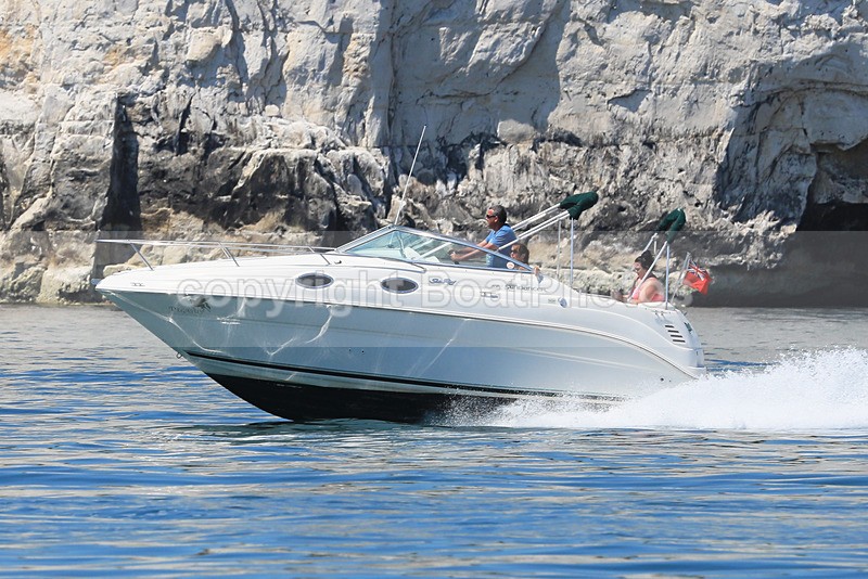 170618 PEGASUS - SEARAY 240 SUNDANCER 1Y3A4915 - Motorboats - Open