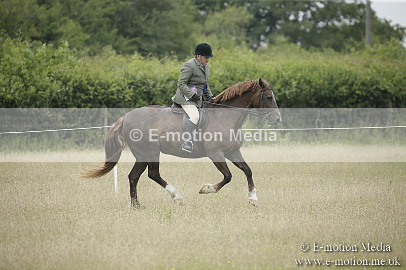 B230619-0545 - Bourne Valley Riding Club Summer Show 23/06/19