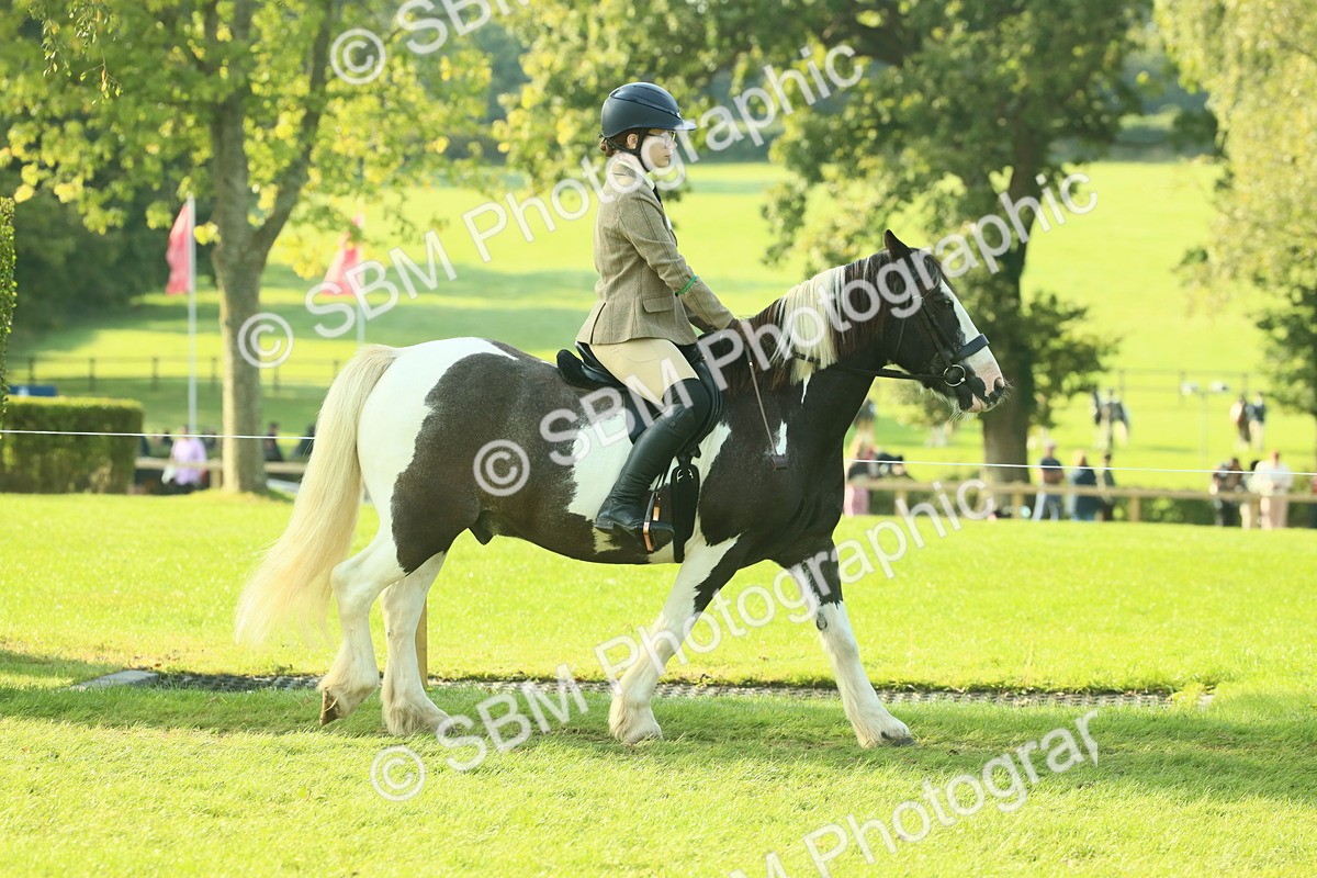 SBM_59292 - S38 - Starters Ridden Showing