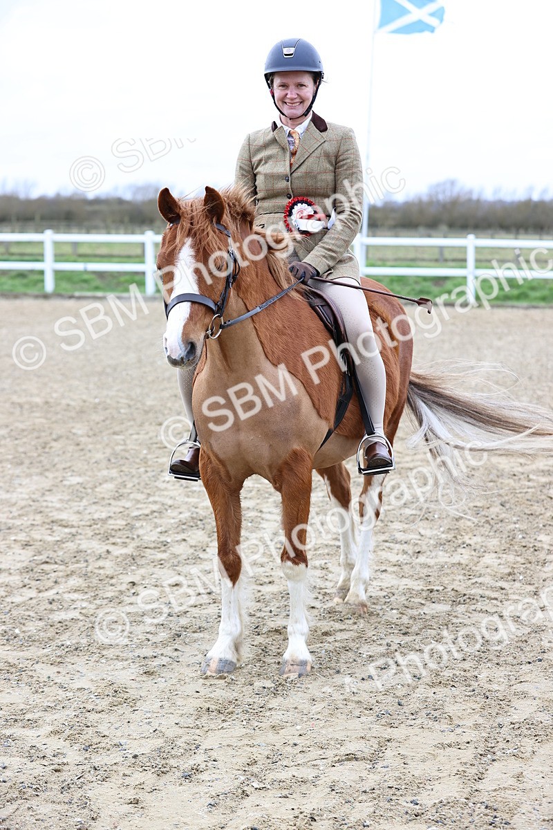 SBM_006862 - Class 29 - 30 - M&M Pure Novice Small-Large Breeds