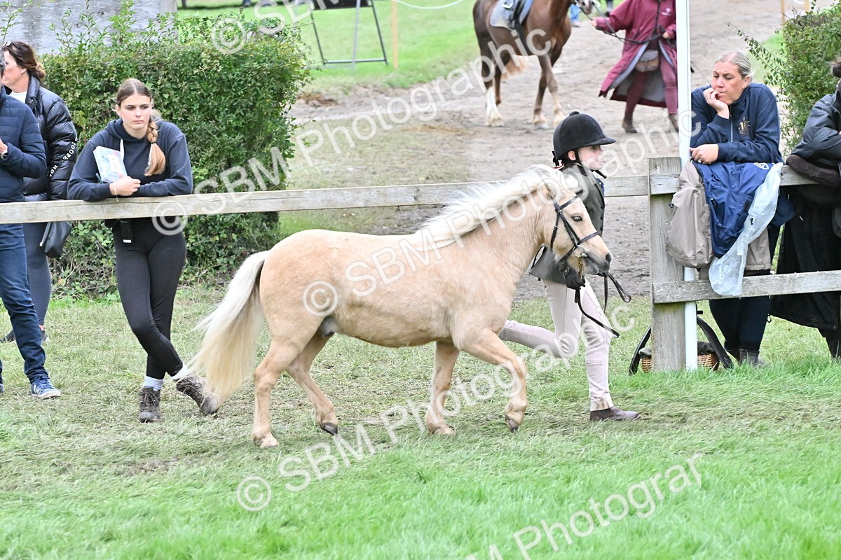 SBM_68582 - S42 - Junior Handler 9-12 Years