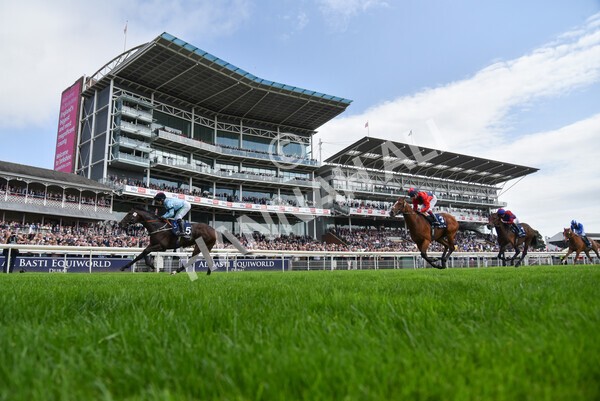 yr18082021r2-28 - Race 2 2.25pm Tattersalls Acomb Stakes