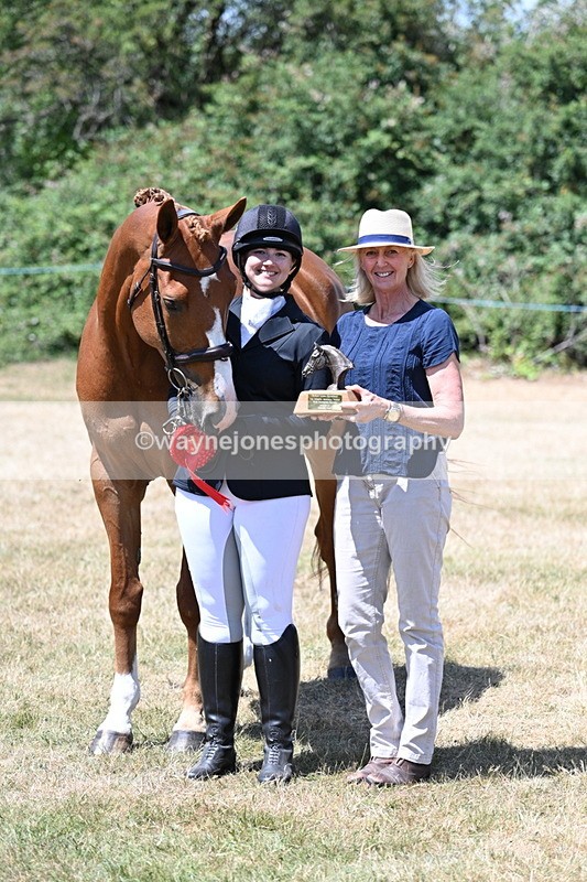 WJ7_2522 - Most Handsome Gelding Champs