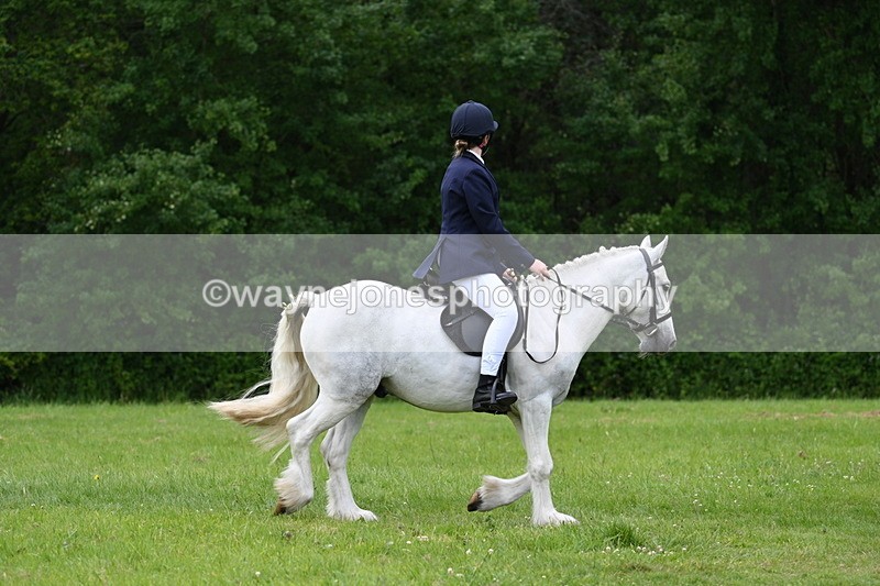 WJ7_2607 - Class 12A Coloured Class