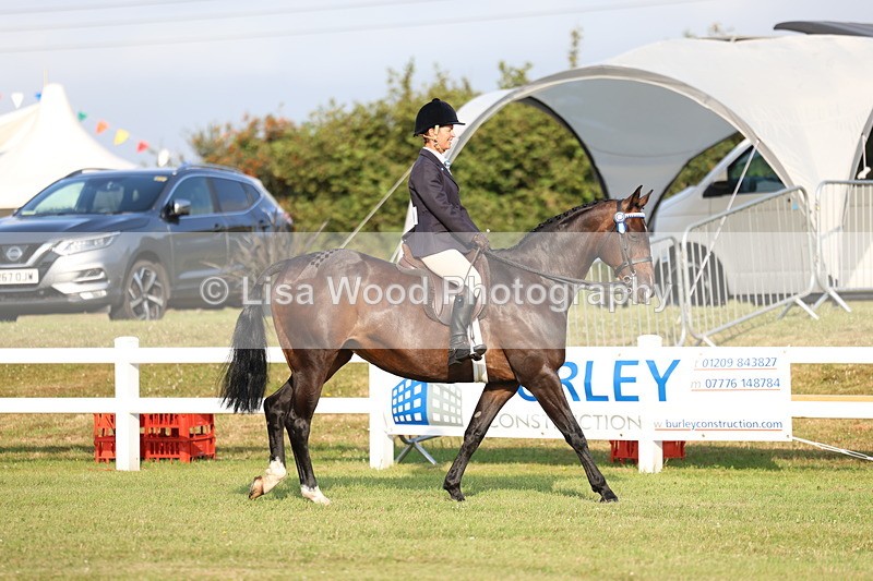 3E7A7632 - Class 1: Rising Star Small Hack/Riding Horses