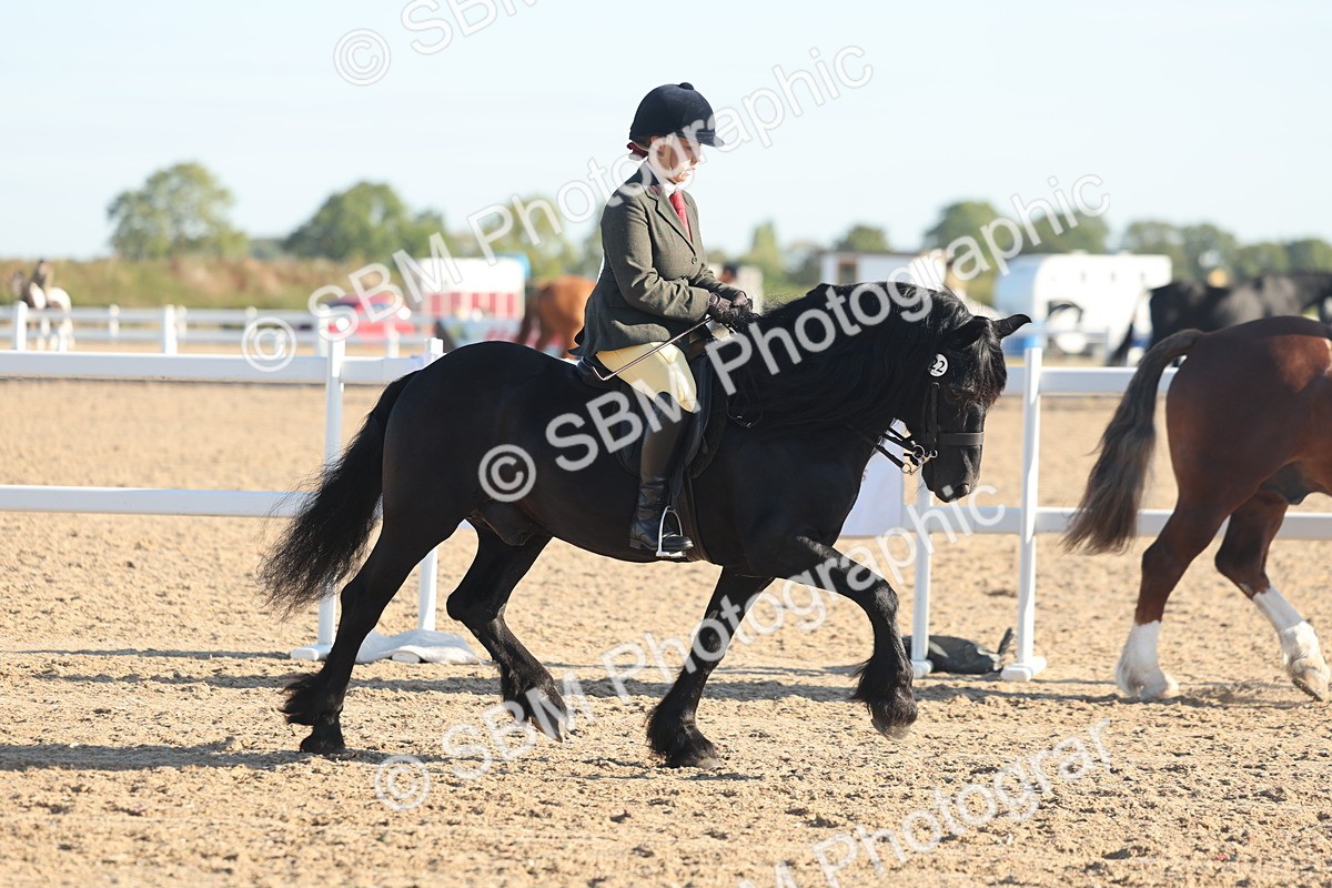SBM_10957 - Class 302 - Ridden M&M Large Breeds