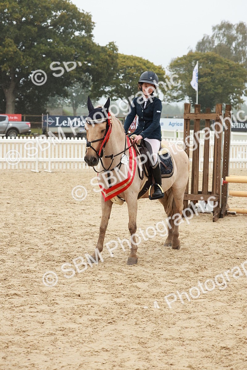 SBM_73494 - Supreme Championship Junior Pony 60cm & 65cm