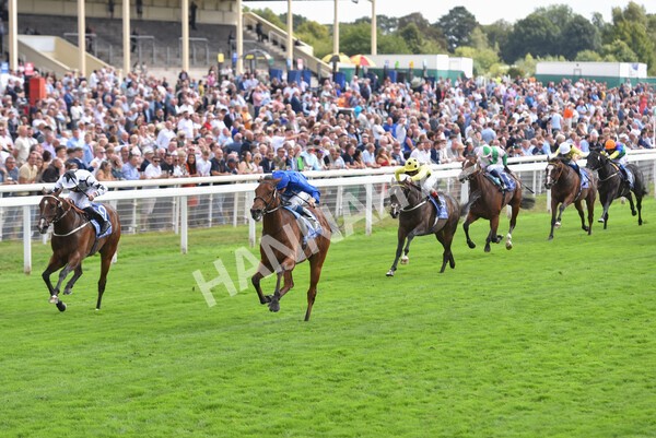 yr19082022r3-34 - Race 3 3.00pm Al Basti Equiworld Dubai Gimcrack Stakes