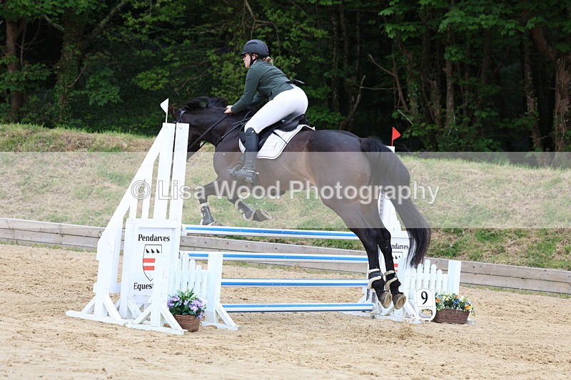 3E7A6550 - Class 4: Senior British Novice/90cm open