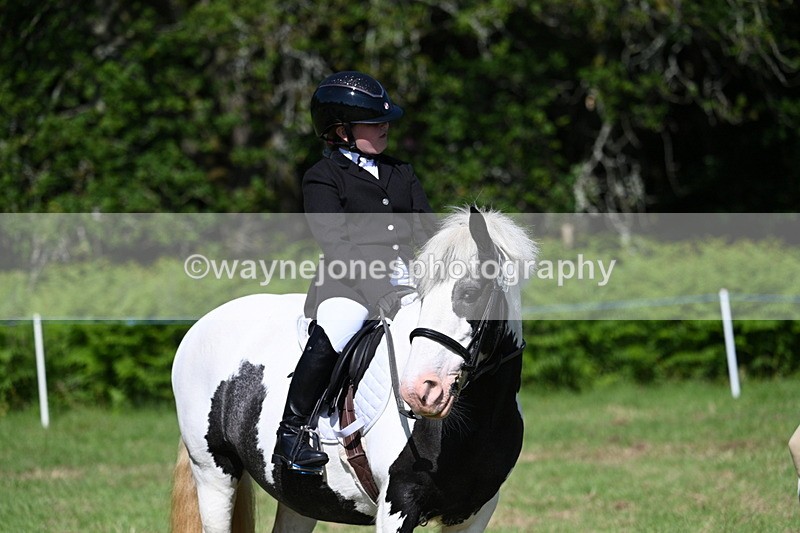 WJ7_0430 - Class 8 First Rally Pony