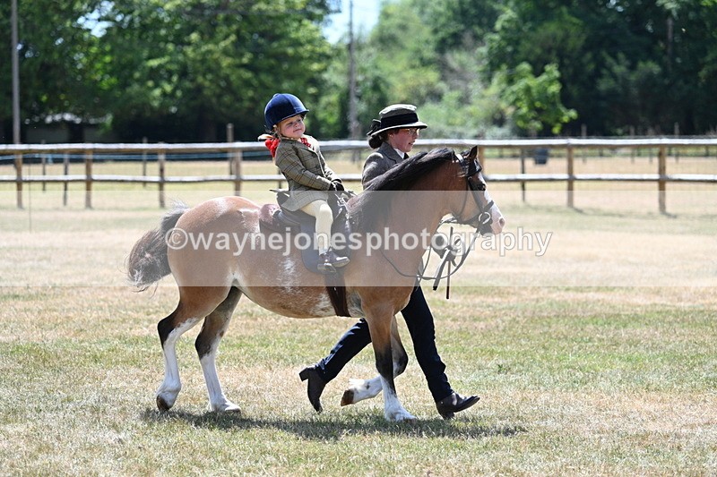 WJ7_2674 - Class 6 Ridden Mountain and Moorland