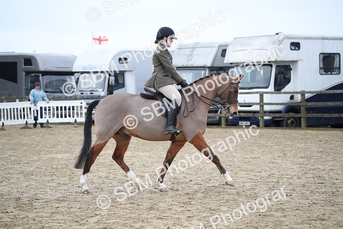 SBM_004679 - Class 5-9 - NPS In Hand-Show Hunter-Intermediate Ridden Inc Ridden Championship