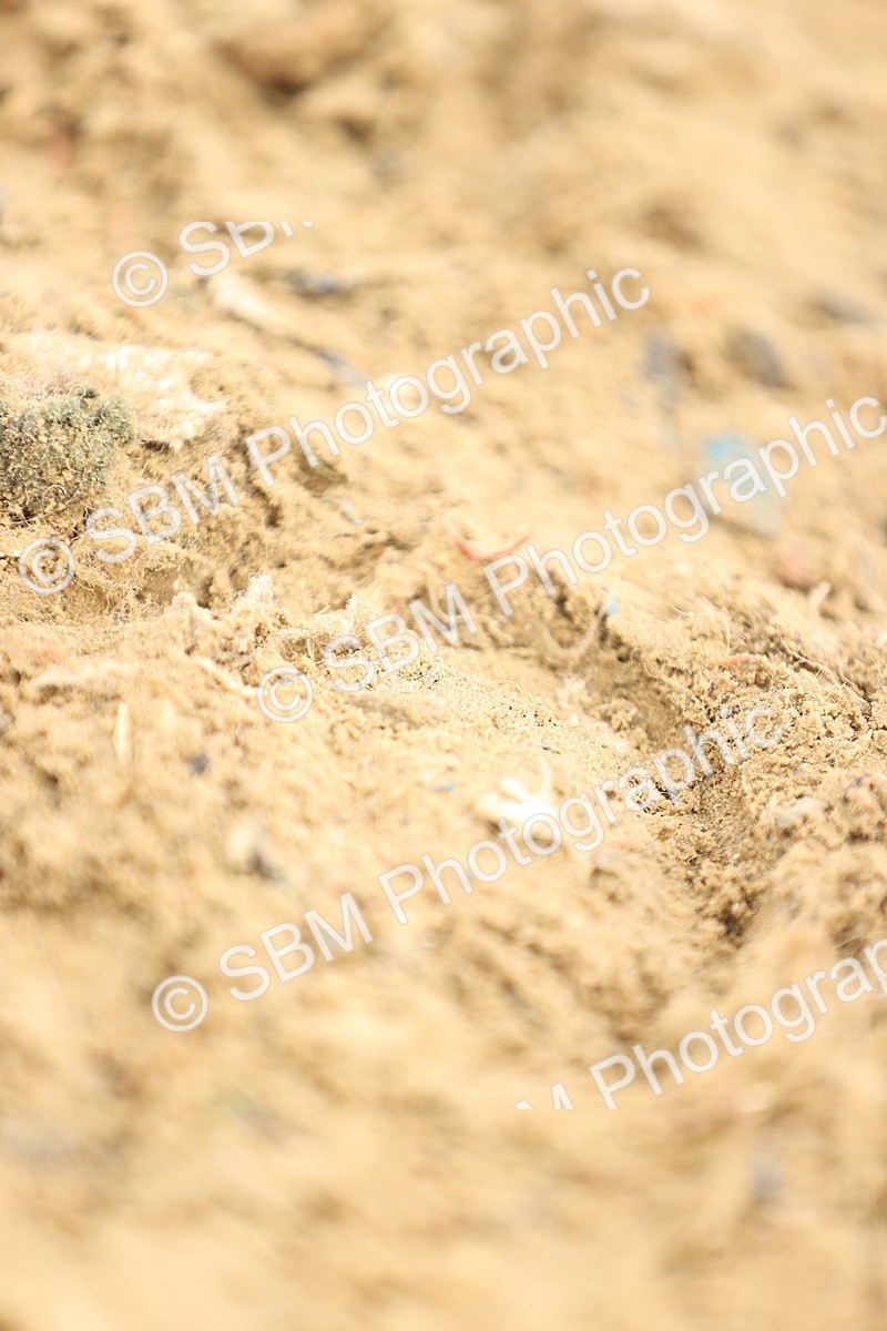 SBM_000289 - Class 2 - 50cm