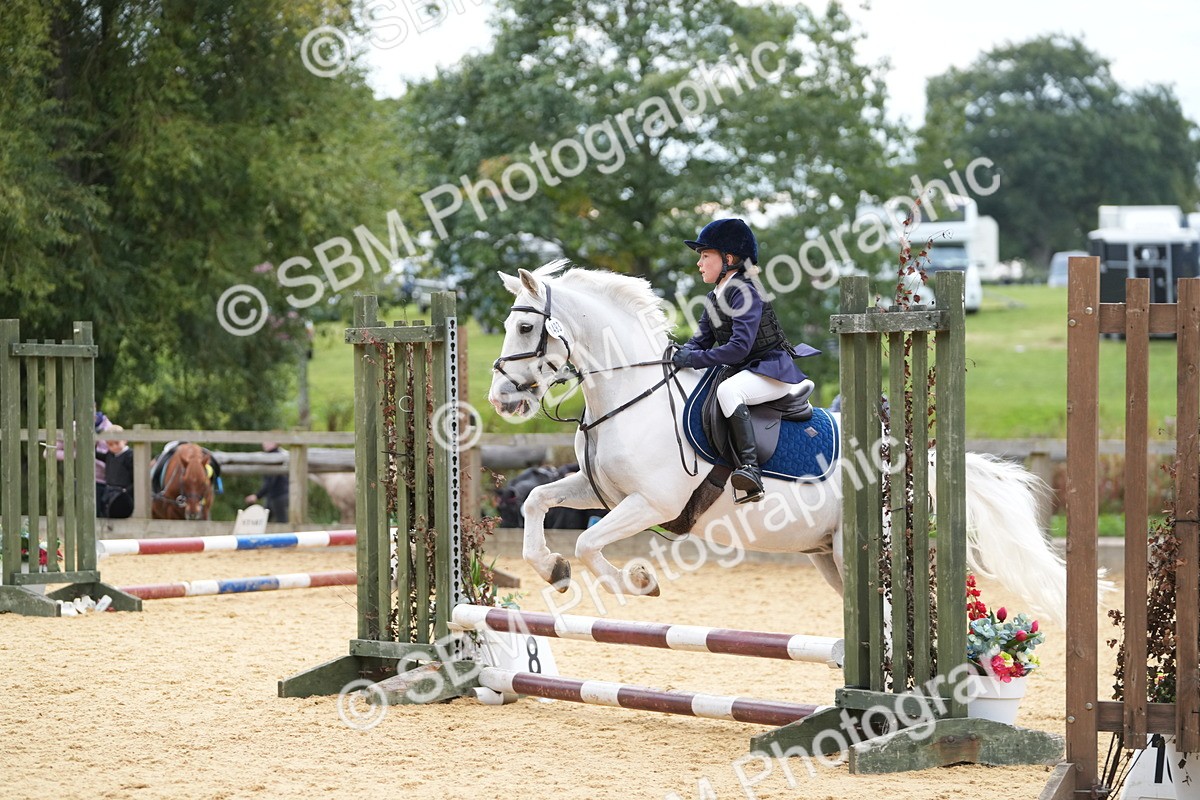 SBM_74763 - J4 - Mini Tour Junior Pony 45cm Championship