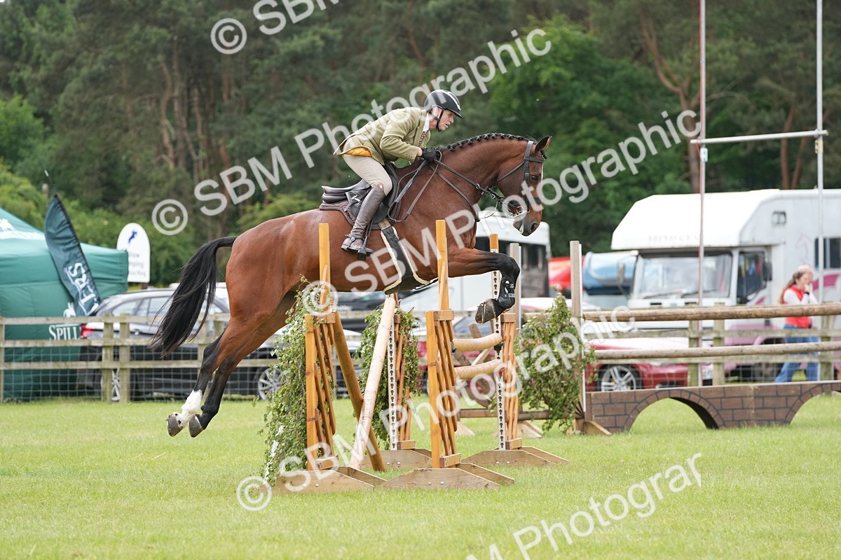 SBM_14929 - Class 100-102 - RIHS Working Hunter