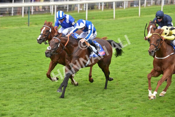 yr24072021r3-20 - Race 3 3.15pm Sky Bet York Stakes