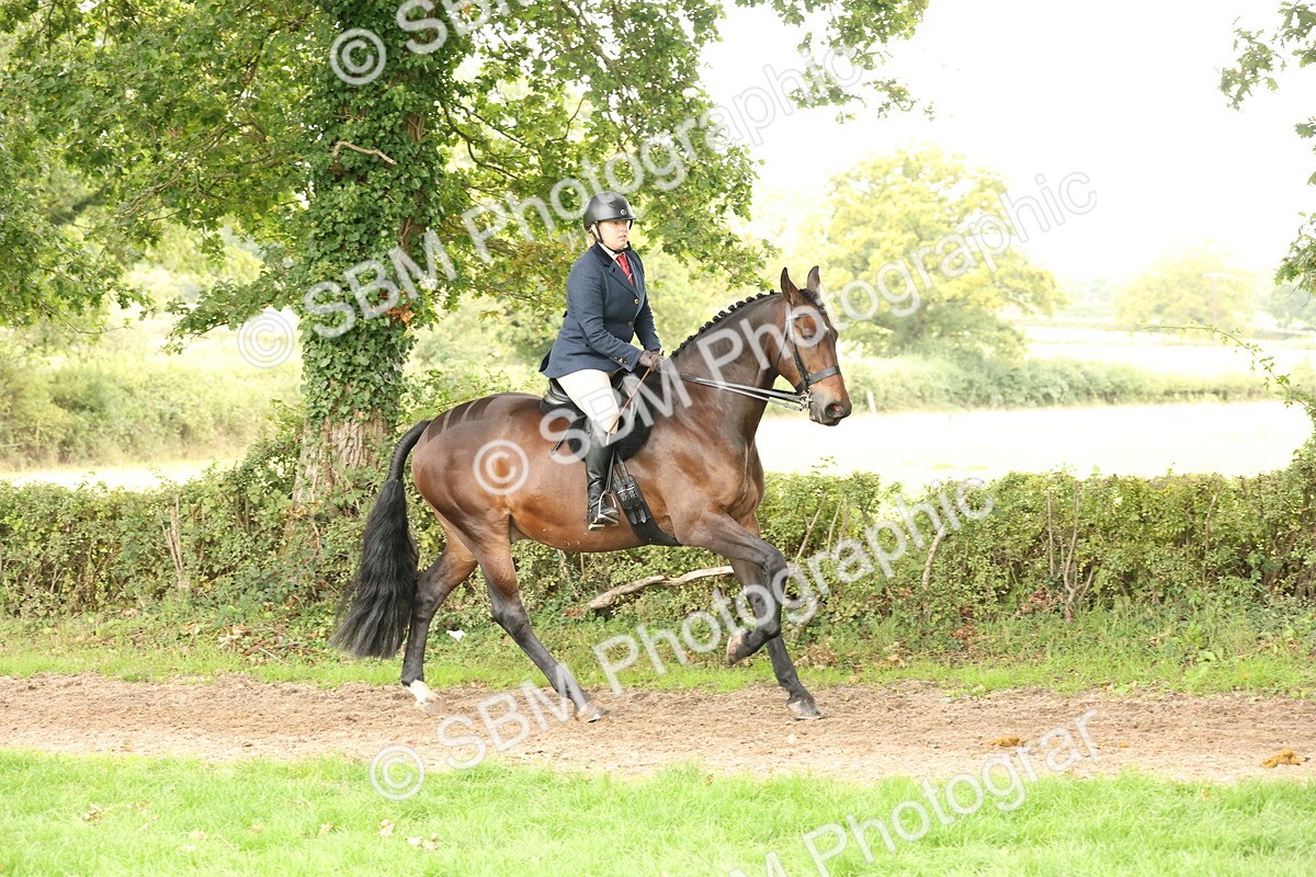 SBM_66315 - S66 - Hunter Ridden