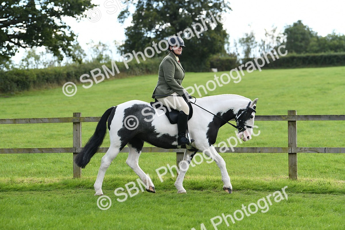SBM_46748 - S12 - Family Horse & Pony