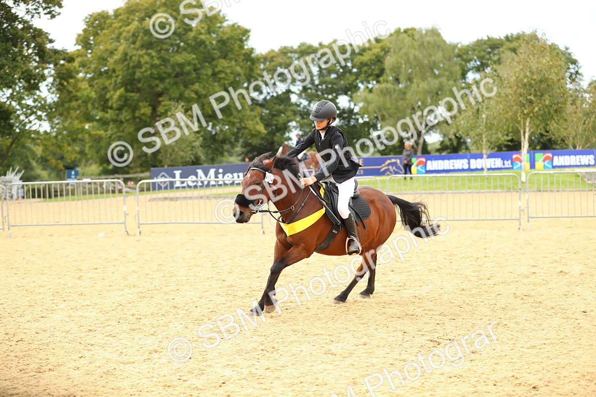 SBM_71344 - J18 - Junior Pony 85cm Championship