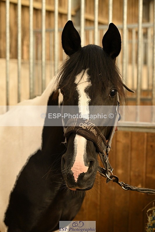 240809A-092513-00076 - Stable Shots