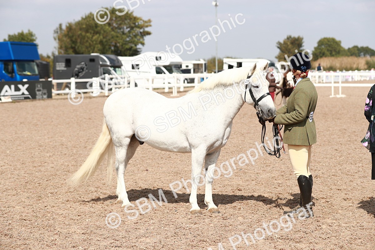 SBM_13910 - Class 209 IH Veteran Pony