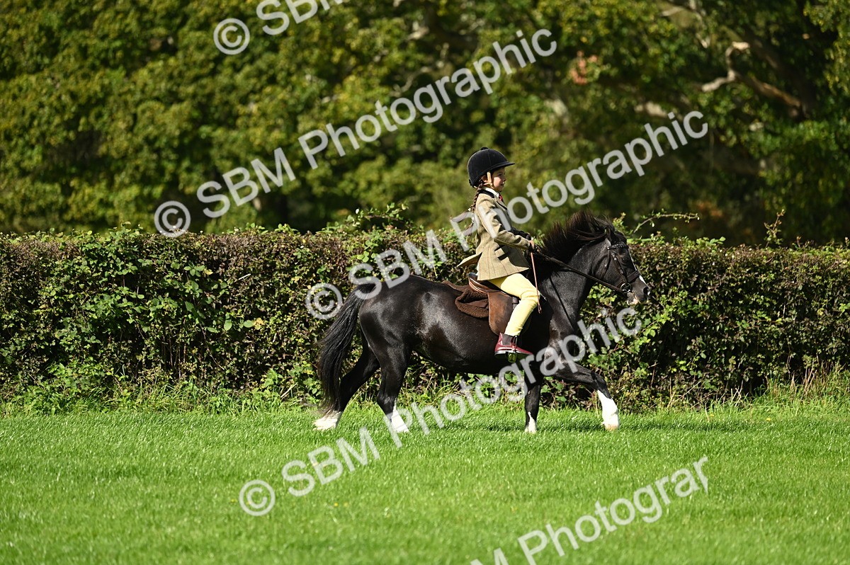 SBM_02671 - S3 - TSR Ridden Pony Showing