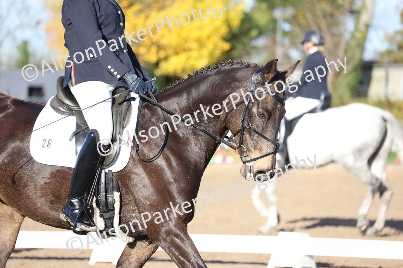 20251102-0382 - Class 3 - Novice 5