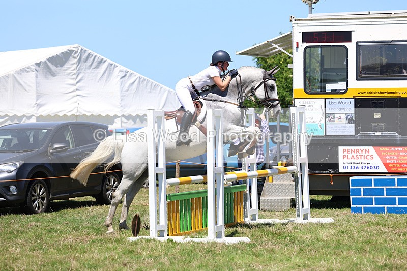 3E7A5628 - Class 9: Senior British Novice/90cm open