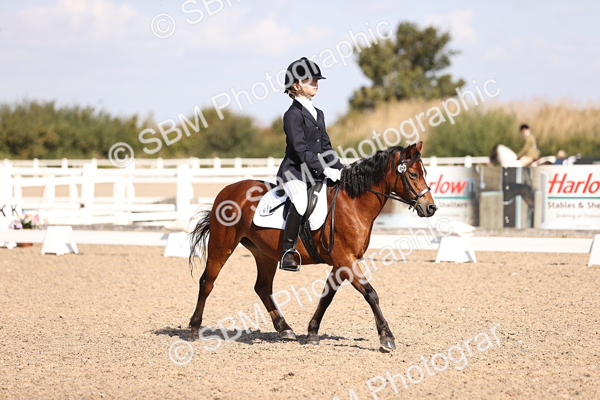 SBM_03502 - CLass 35 Intro 3