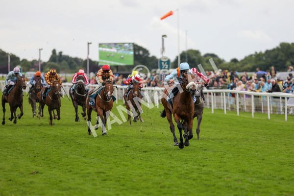 150624-Race 5-The Strikin Viking-6189 - Race 5 4.10pm Reg Griffin Appreciation ebfstallions.com Maiden Stakes