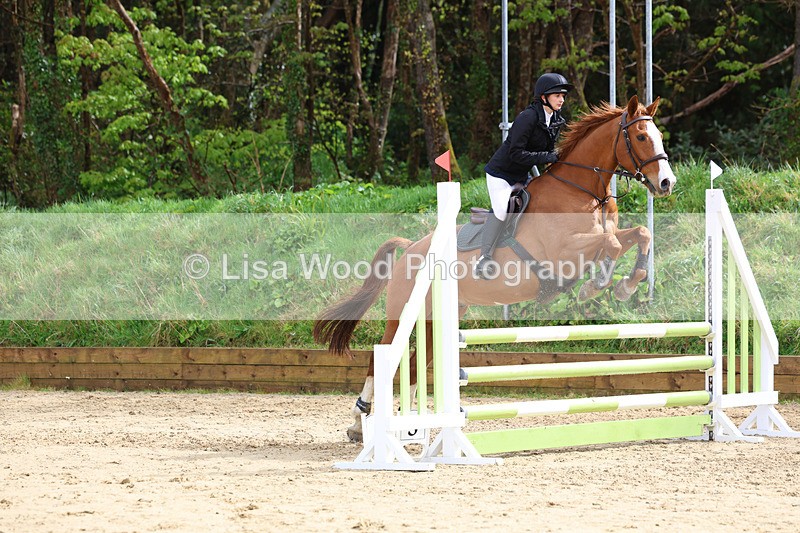 3E7A0864 - Class 4: Senior British Novice/90cm open