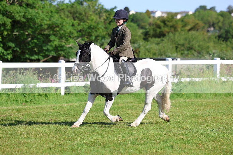3E7A5896 - Class 27: Novice Working Hunter Pony
