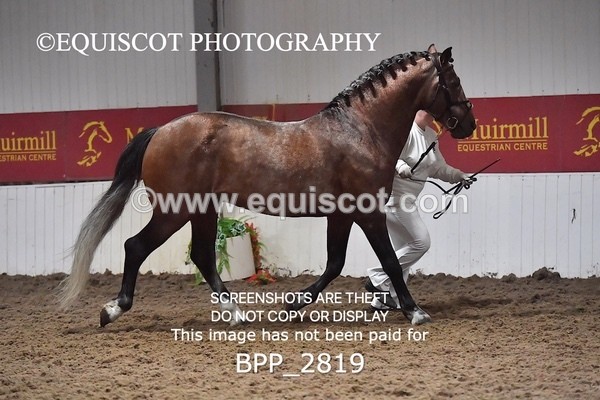 BPP_2819 - LOOSE JUMPING / SPSS