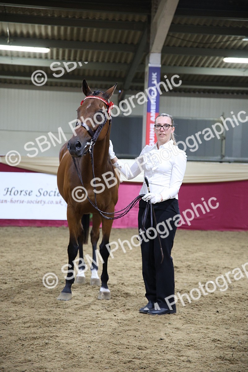 SBM_18838 - Class E IH Horse Champ
