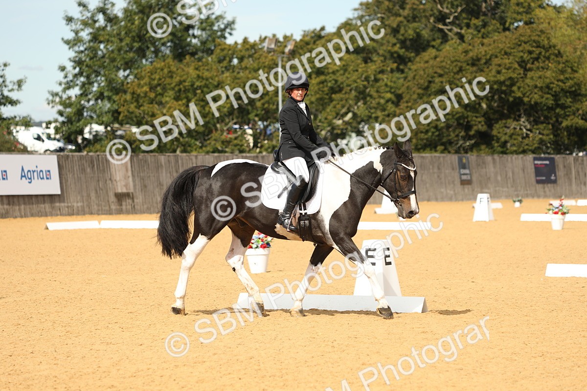 SBM_22204 - D17 - Grand Tour Championship - Novice 27