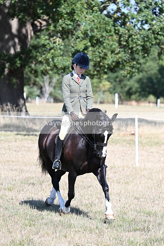 WJ7_3673 - Class 9 Mountain & Moorland Ridden
