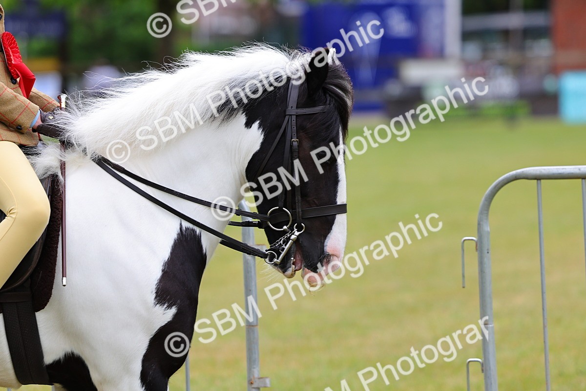 SBM_02591 - Class 9-11 Side Saddle including LIHS Rising Star Ladies Show Horse
