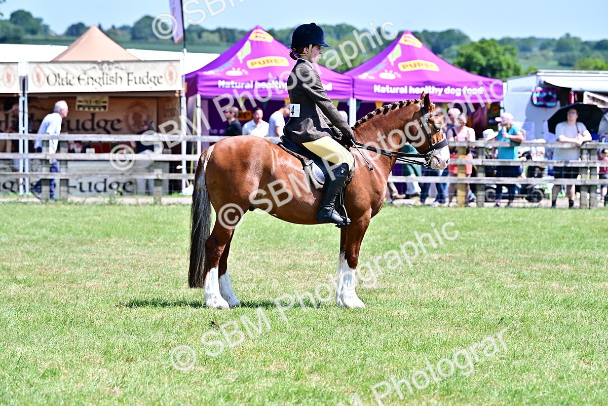 SBM_15401 - Class 95-97 - BSPS LHS Performance Ponies