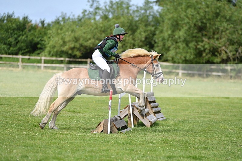 WJ5_2322 - Class 2 40cm