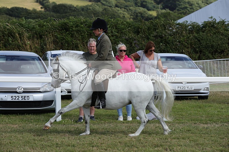 1X9A5719 - Class 40: NPS Welsh A & B