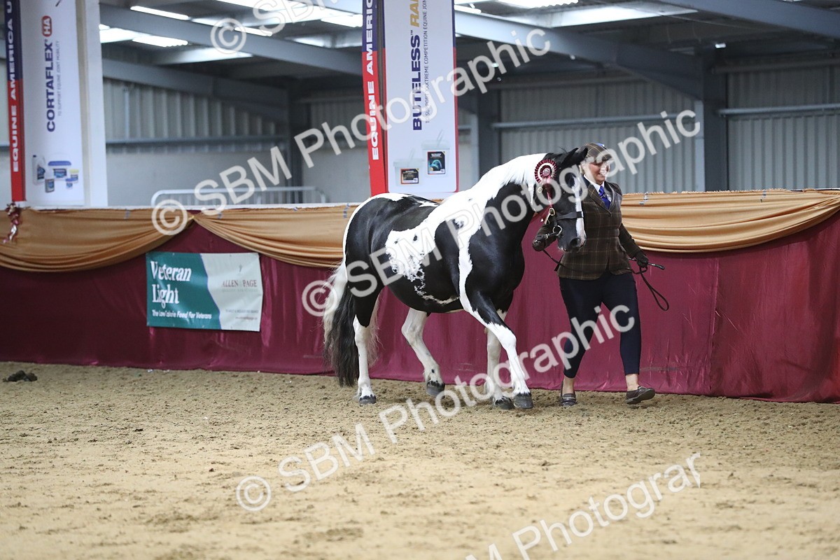 SBM_06504 - Class 9R Regional- IH Pre Vet