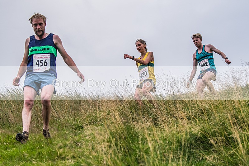 Steel Fell-536 - Steel Fell Race Wednesday 6th August 2025