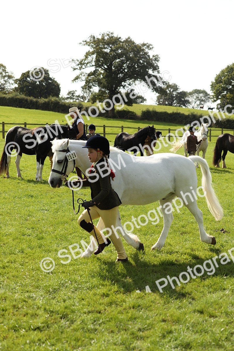 SBM_67788 - S39 - Junior Handler 8  Years & Under