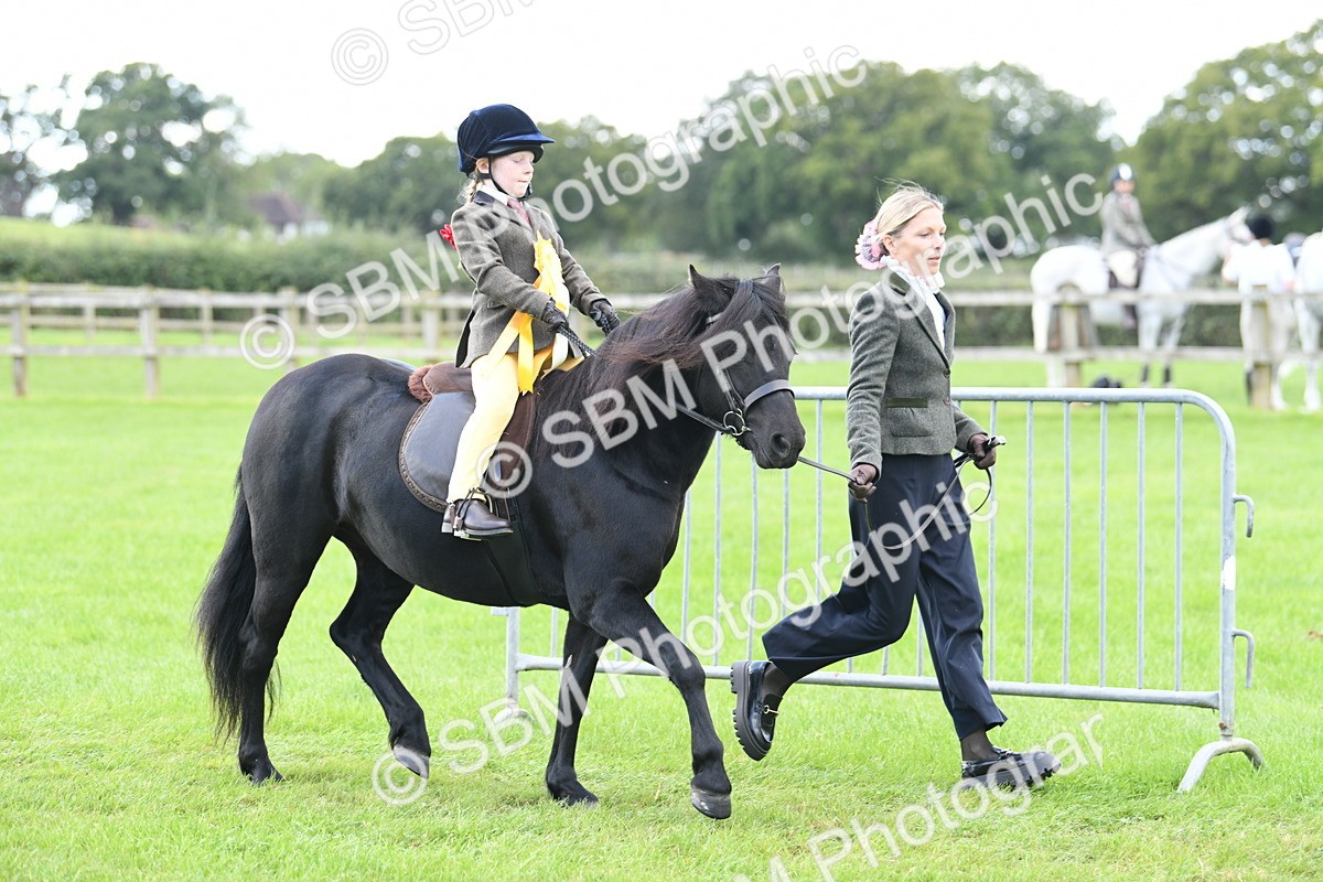SBM_42708 - S20 - Lead Rein Mountain & Moorland Pony