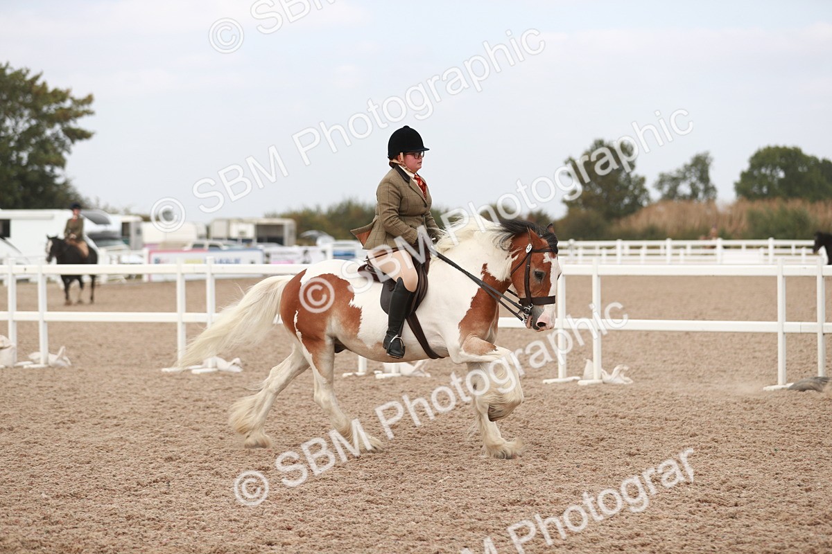 SBM_16681 - Class 214 Ridden Cob