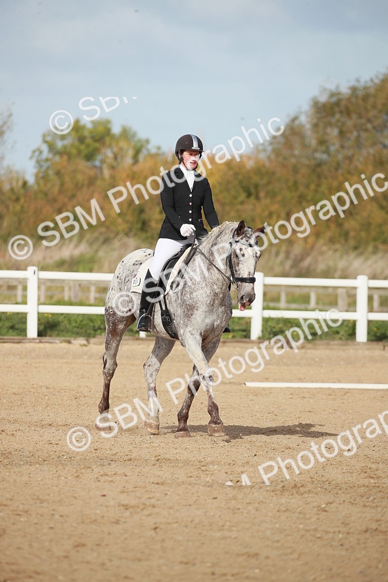 SBM_001689 - Class 4 - Novice 5