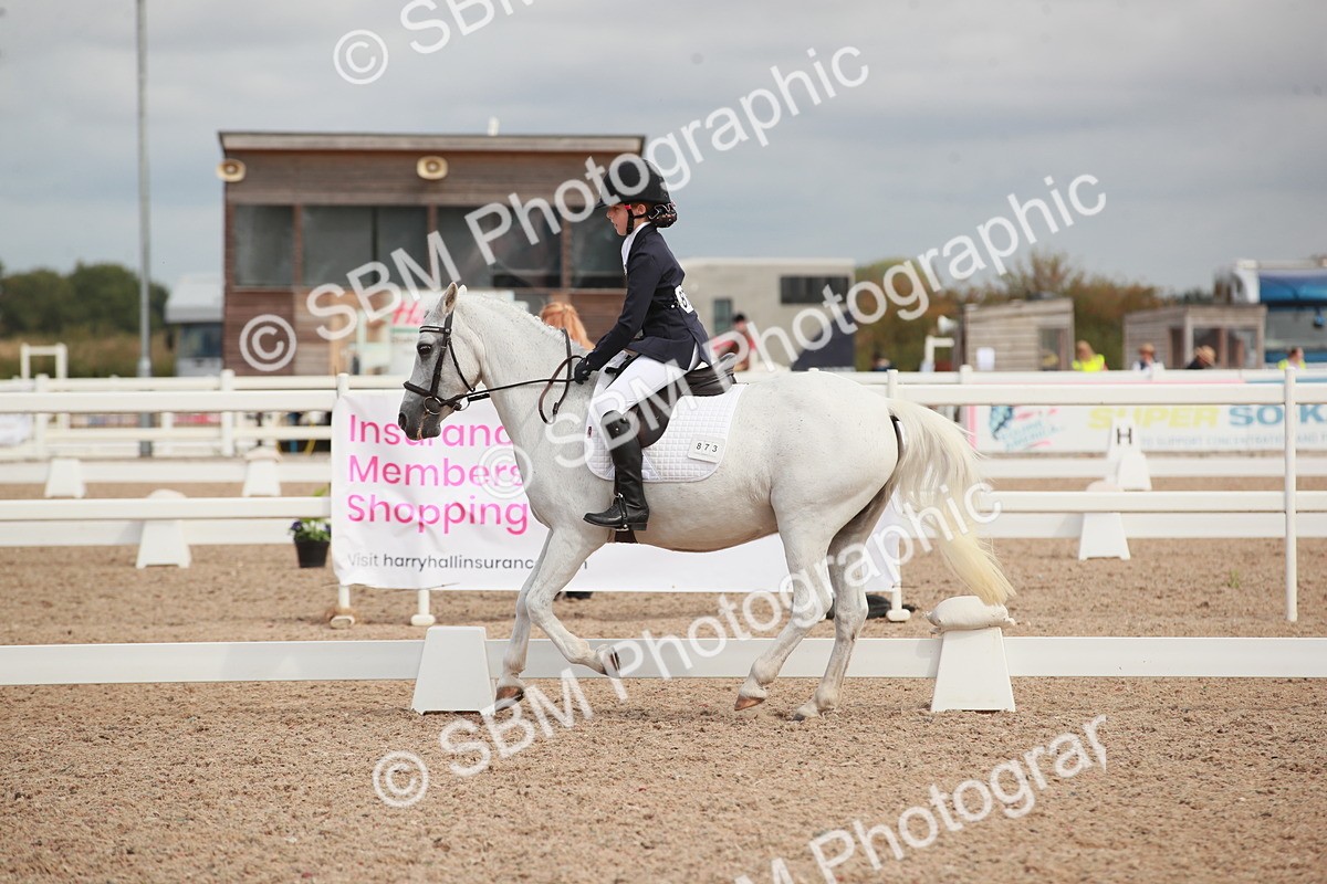 SBM_03978 - Class 31 - Prelim 1